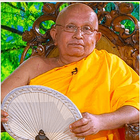 Venerable Prof. Thumbulle Seelakkhandha Thero